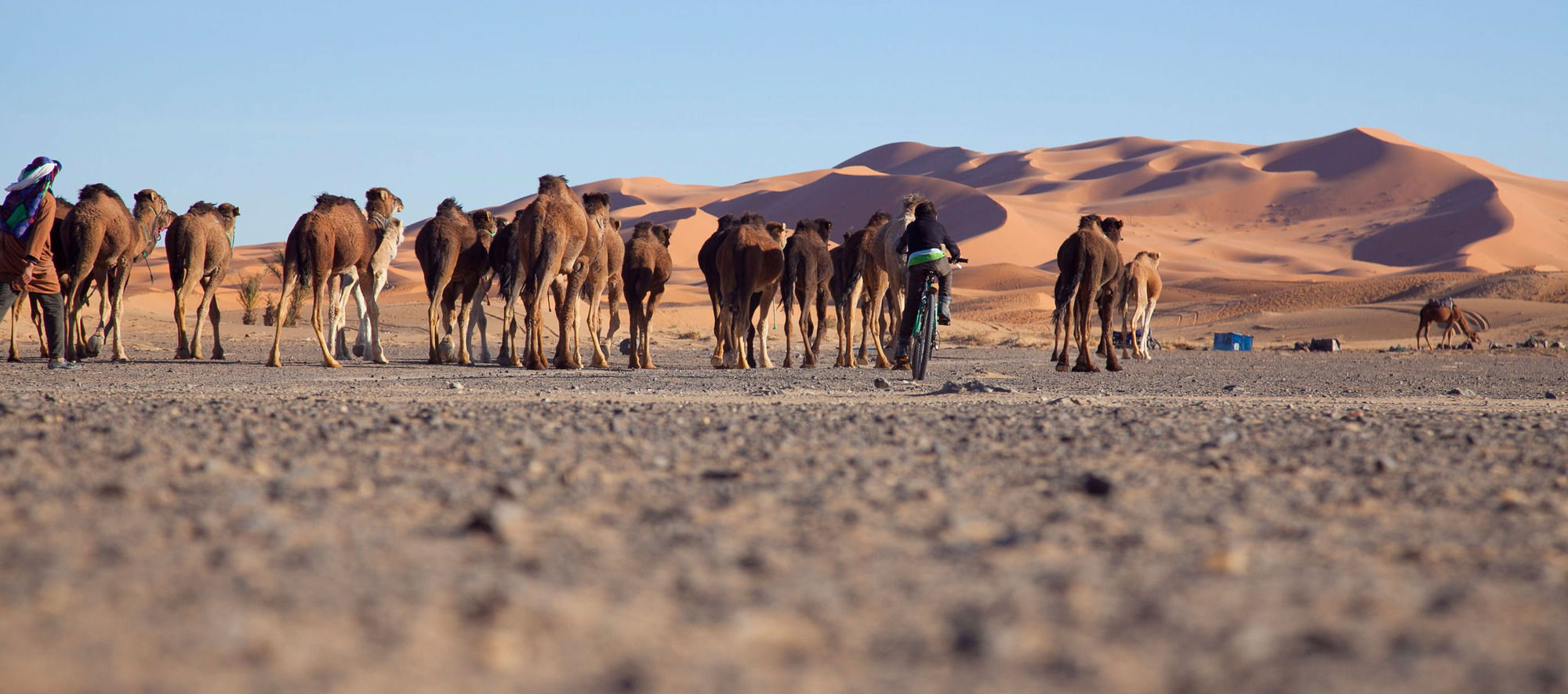 Kam Kam Dunes Merzouga Zewnętrze zdjęcie